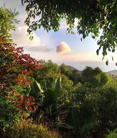 Feriehus Casa Kika El Paso