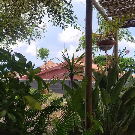 Casa Kika Эль-Пасо