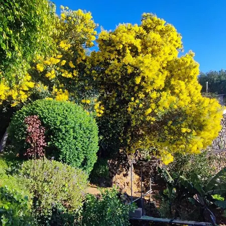 Casa Kika Σπίτι διακοπών